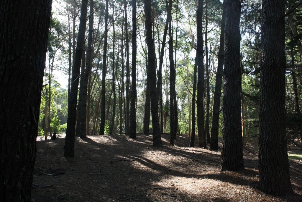 Cabanas Hurra Pampa Mar de Las Pampas Cameră foto