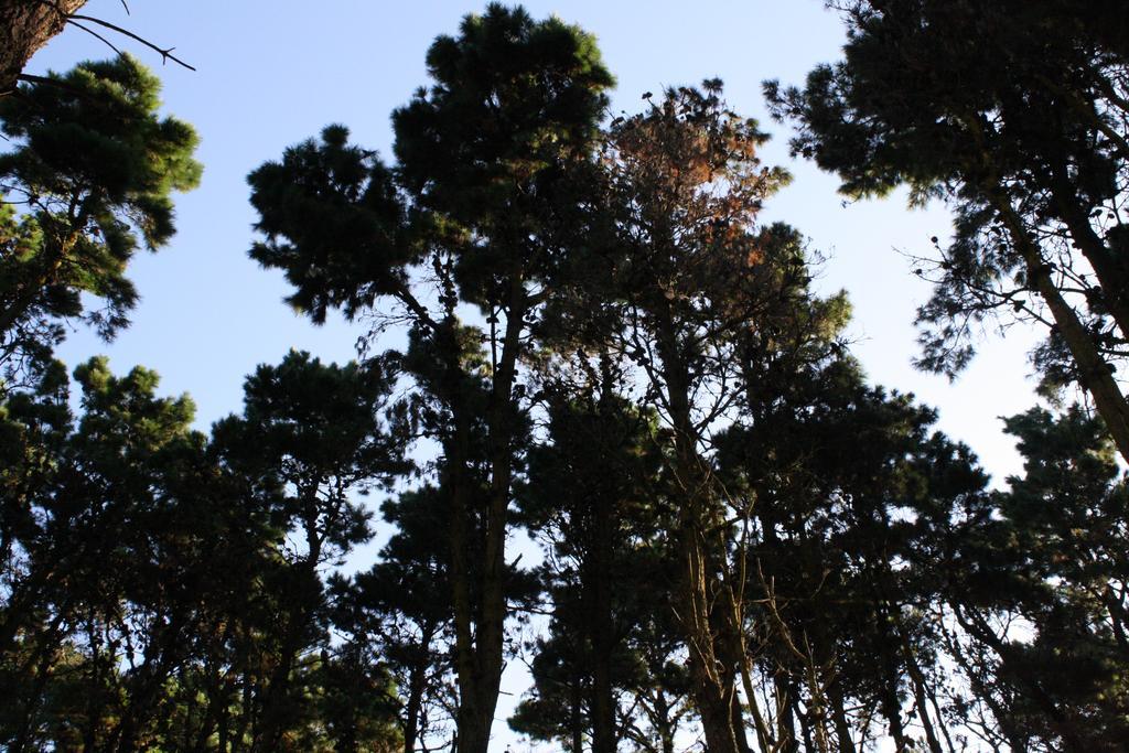 Cabanas Hurra Pampa Mar de Las Pampas Cameră foto
